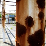 Rust, Dust, Moss